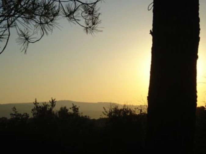 Terreno para Venda em Borba (Matriz) Foto 2