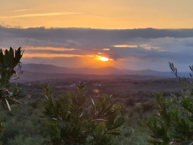 Terreno para Venda em Borba (Matriz)