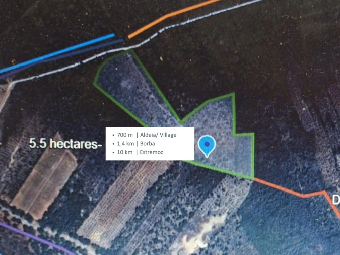 Terreno para Venda em Borba (Matriz) Planta 1