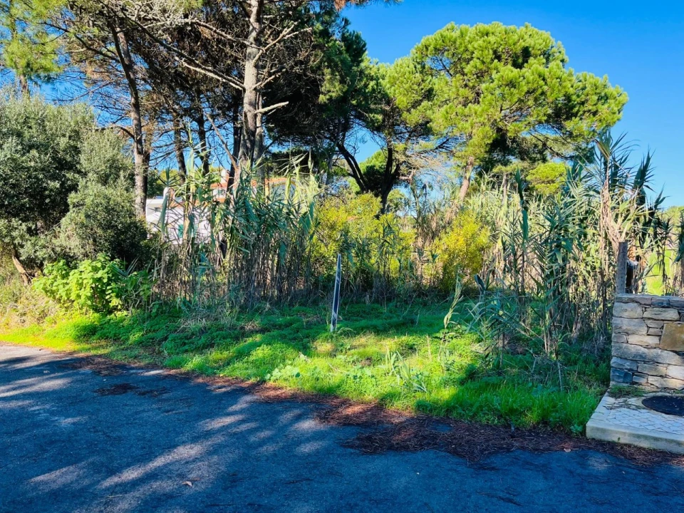 Terreno para Venda em São João das Lampas e Terrugem Foto 3
