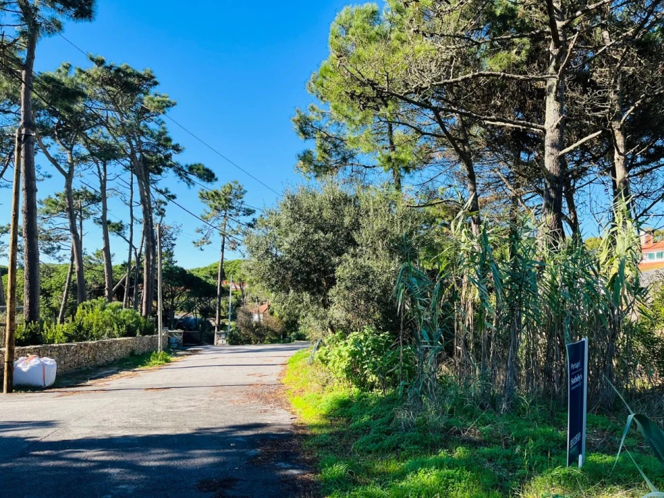 Terreno para Venda em São João das Lampas e Terrugem Foto 27