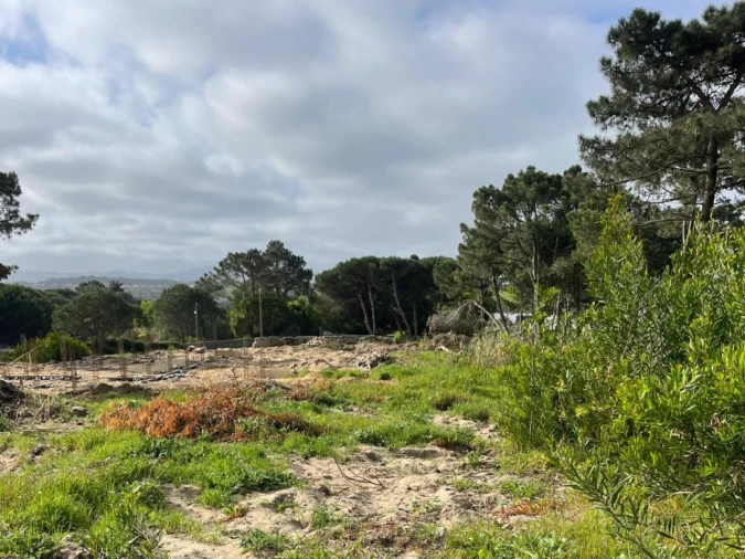 Terreno para Venda em São João das Lampas e Terrugem Foto 7