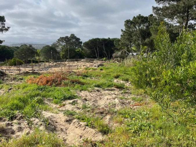 Terreno para Venda em São João das Lampas e Terrugem Foto 8