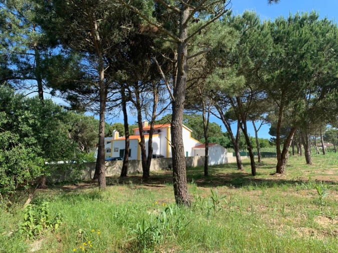 Terreno para Venda em São João das Lampas e Terrugem Foto 26