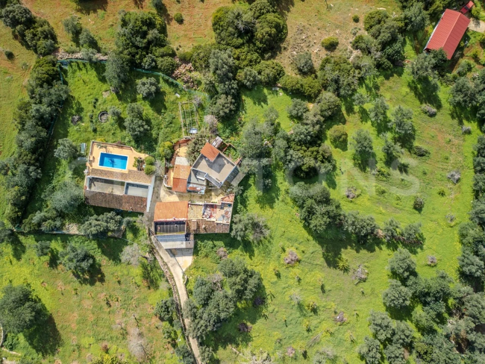 Terreno para Venda em Loule (São Clemente) Foto 24