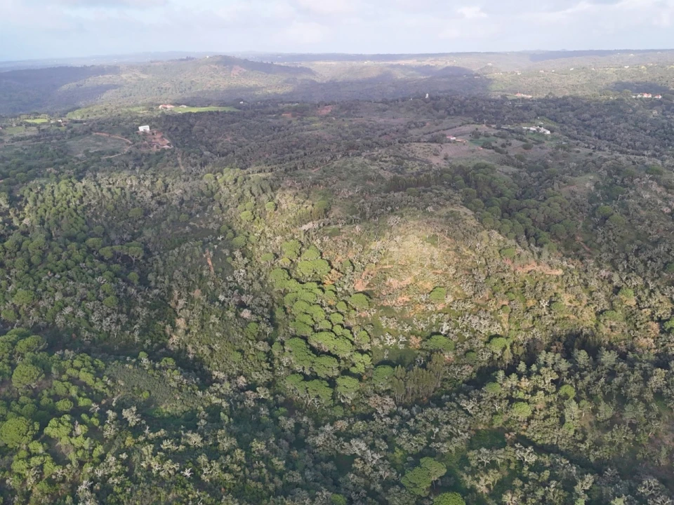 Terreno para Venda em São Francisco da Serra Foto 4