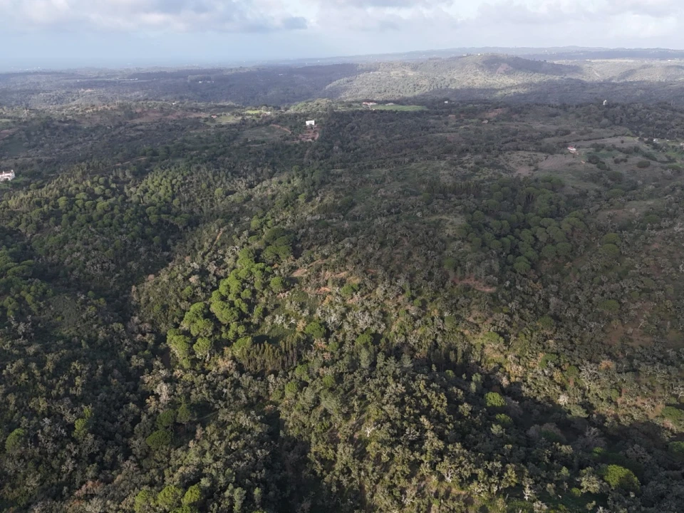 Terreno para Venda em São Francisco da Serra Foto 14