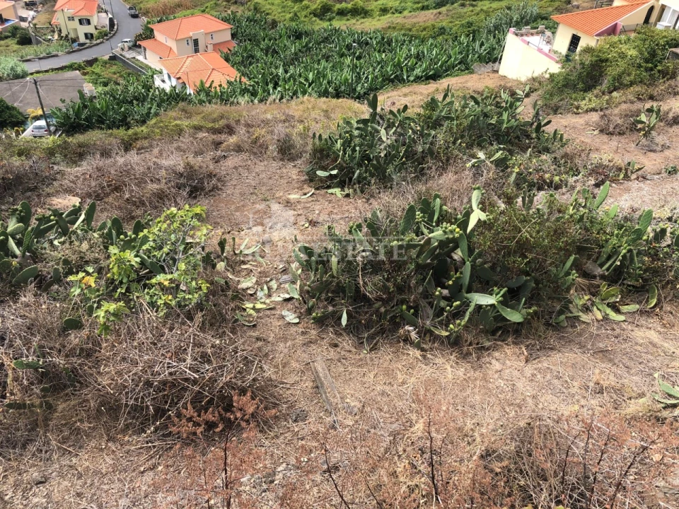 Terreno para Venda em Ribeira Brava Foto 1