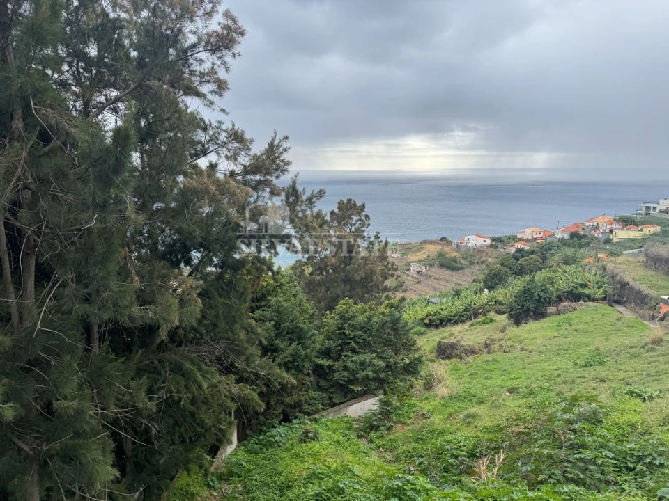 Terreno para Venda em São Martinho Foto 3