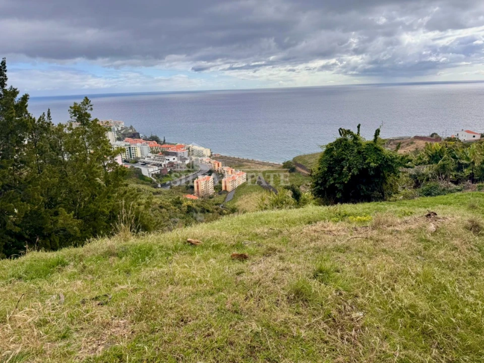 Terreno para Venda em São Martinho Foto 2