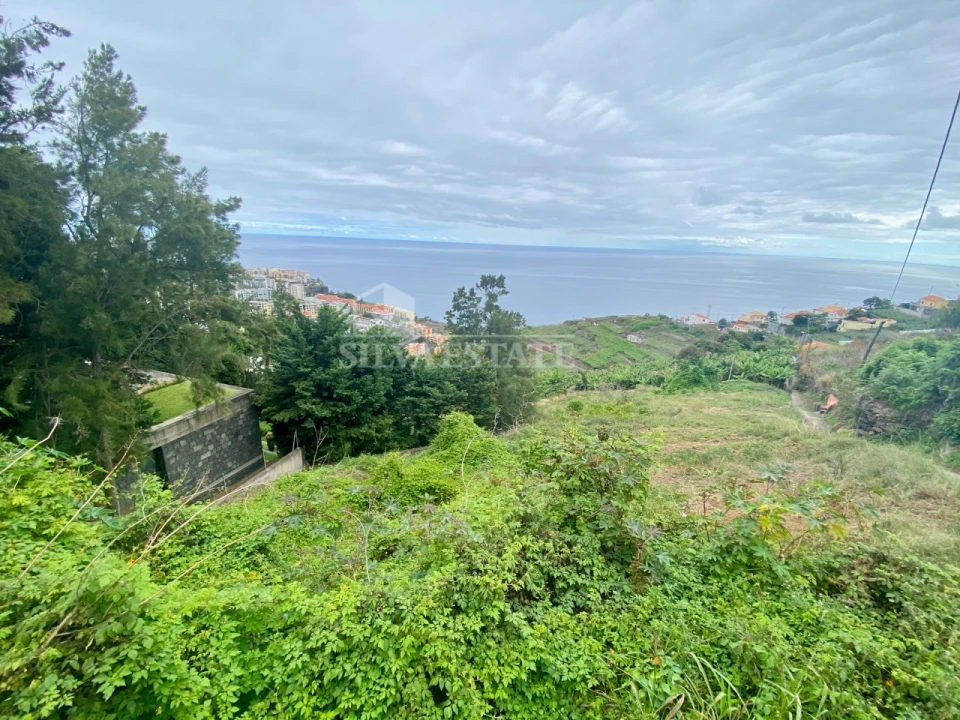 Terreno para Venda em São Martinho Foto 4