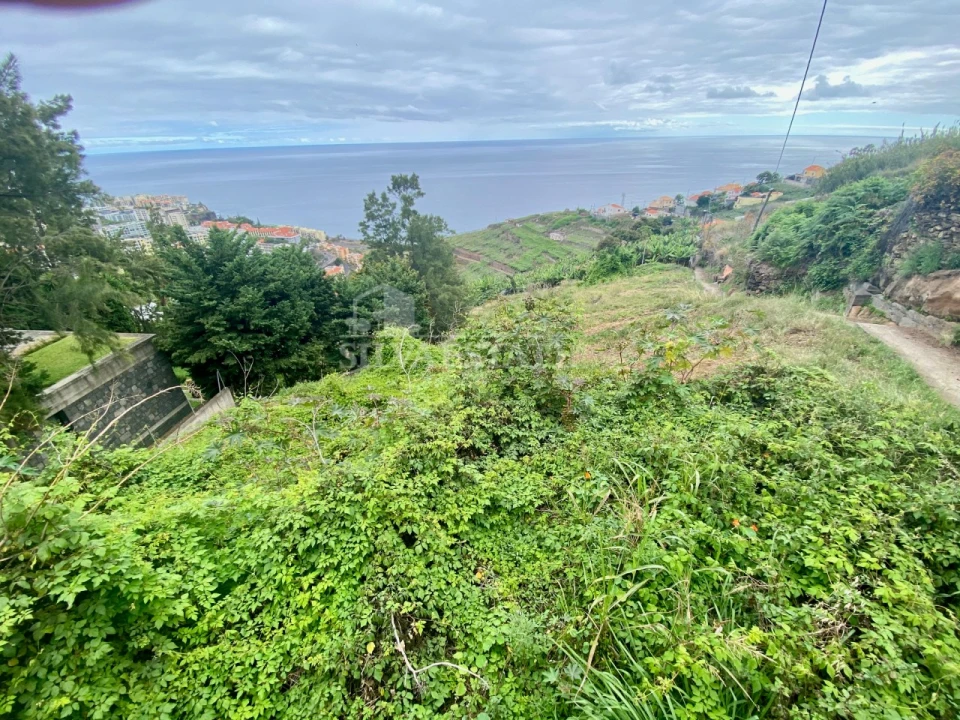 Terreno para Venda em São Martinho Foto 5