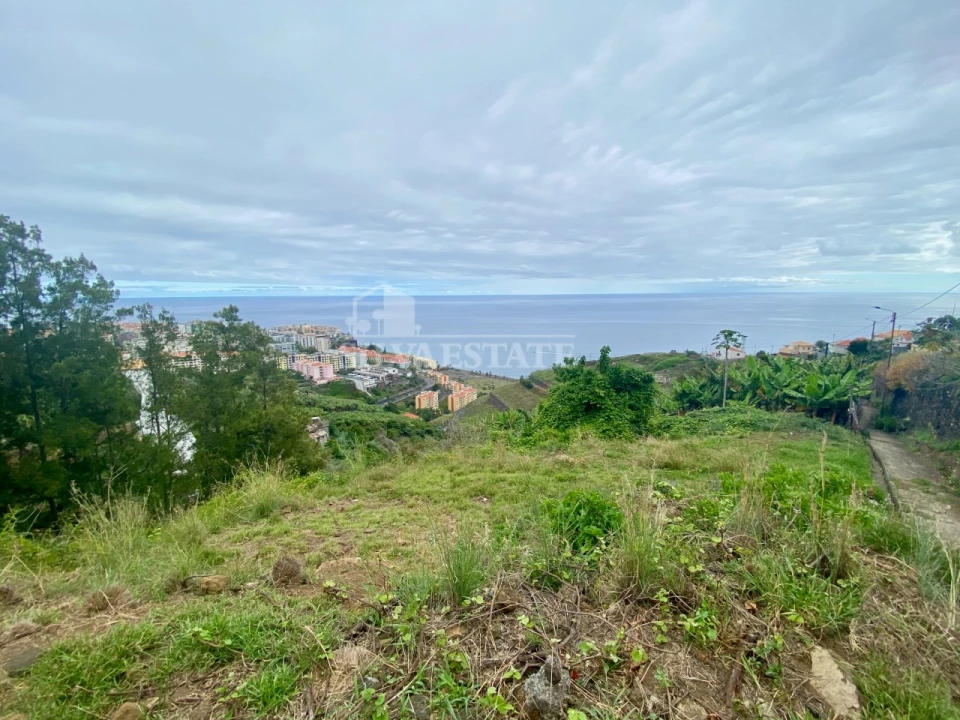 Terreno para Venda em São Martinho Foto 6