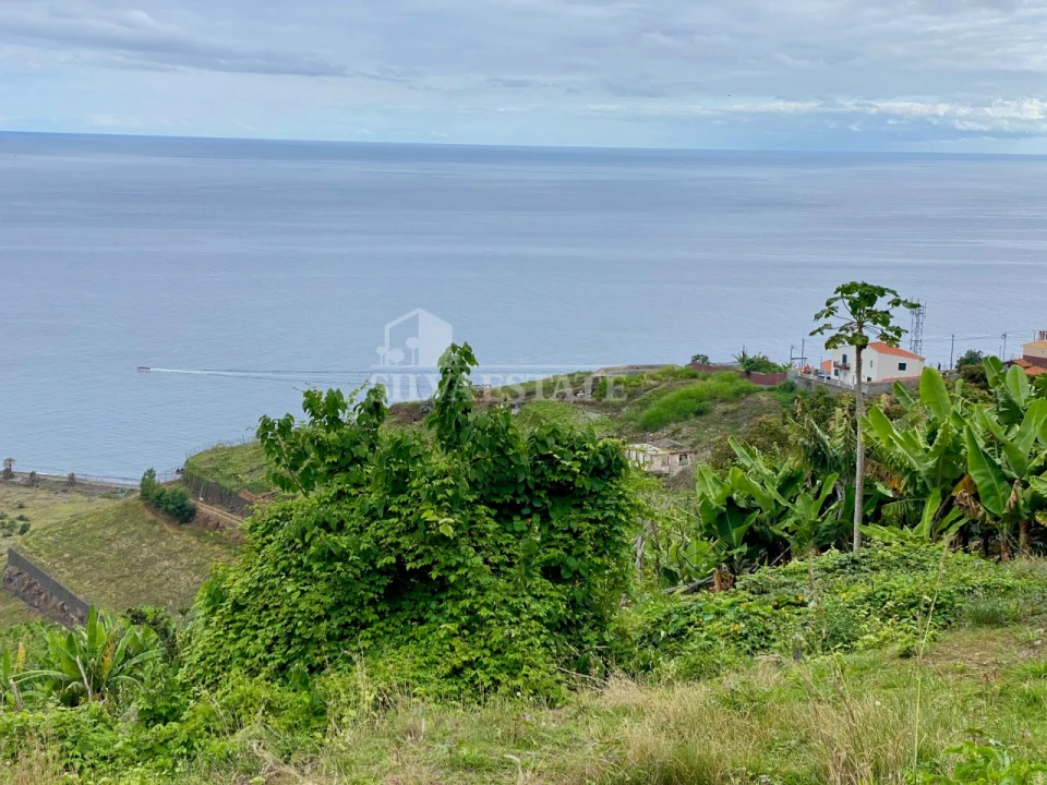 Terreno para Venda em São Martinho Foto 7