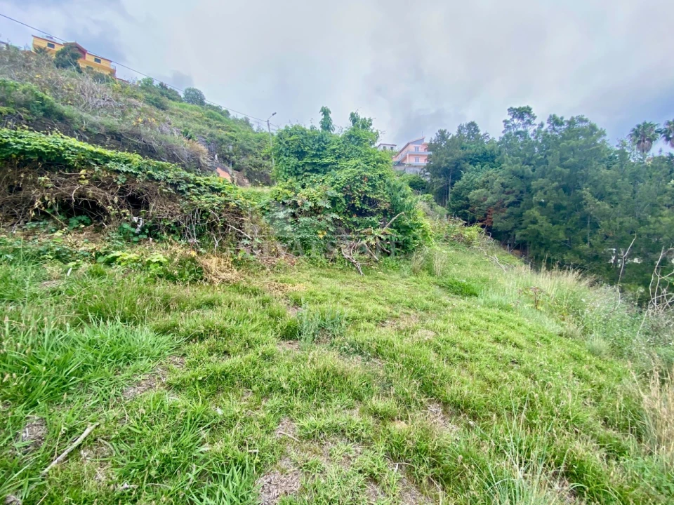 Terreno para Venda em São Martinho Foto 8