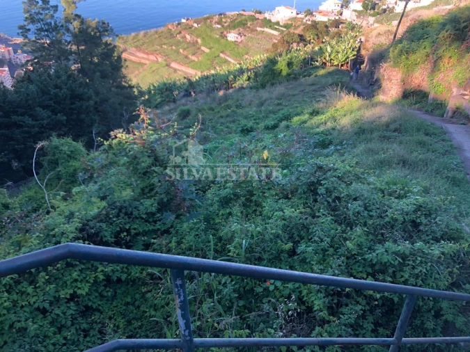 Terreno para Venda em São Martinho Foto 10
