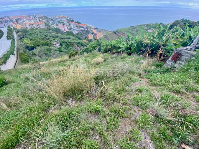 Terreno para Venda em São Martinho Foto 9