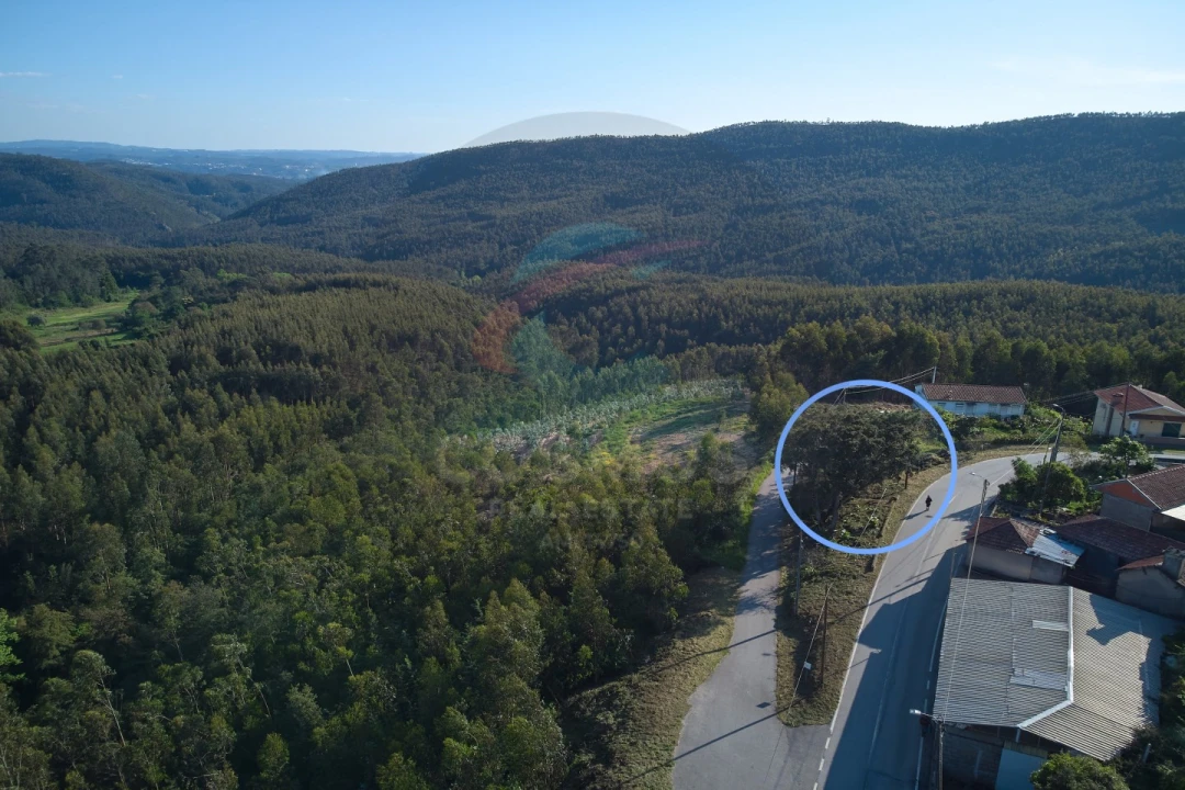 Terreno para Venda em Aguiar de Sousa Foto 4