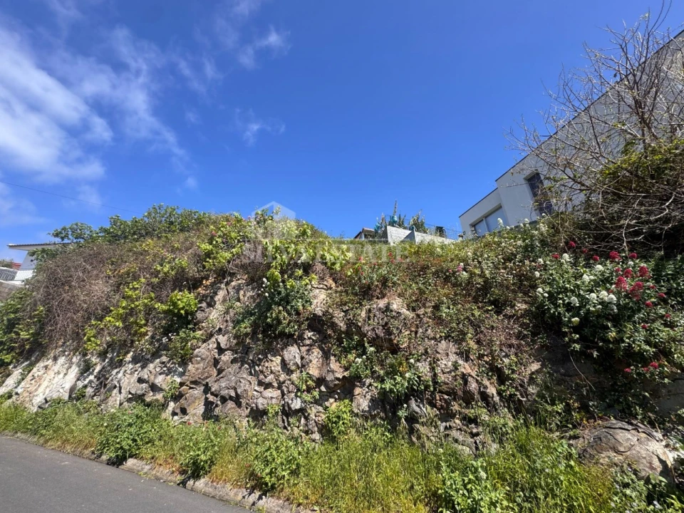 Terreno para Venda em Ribeira Brava Foto 1