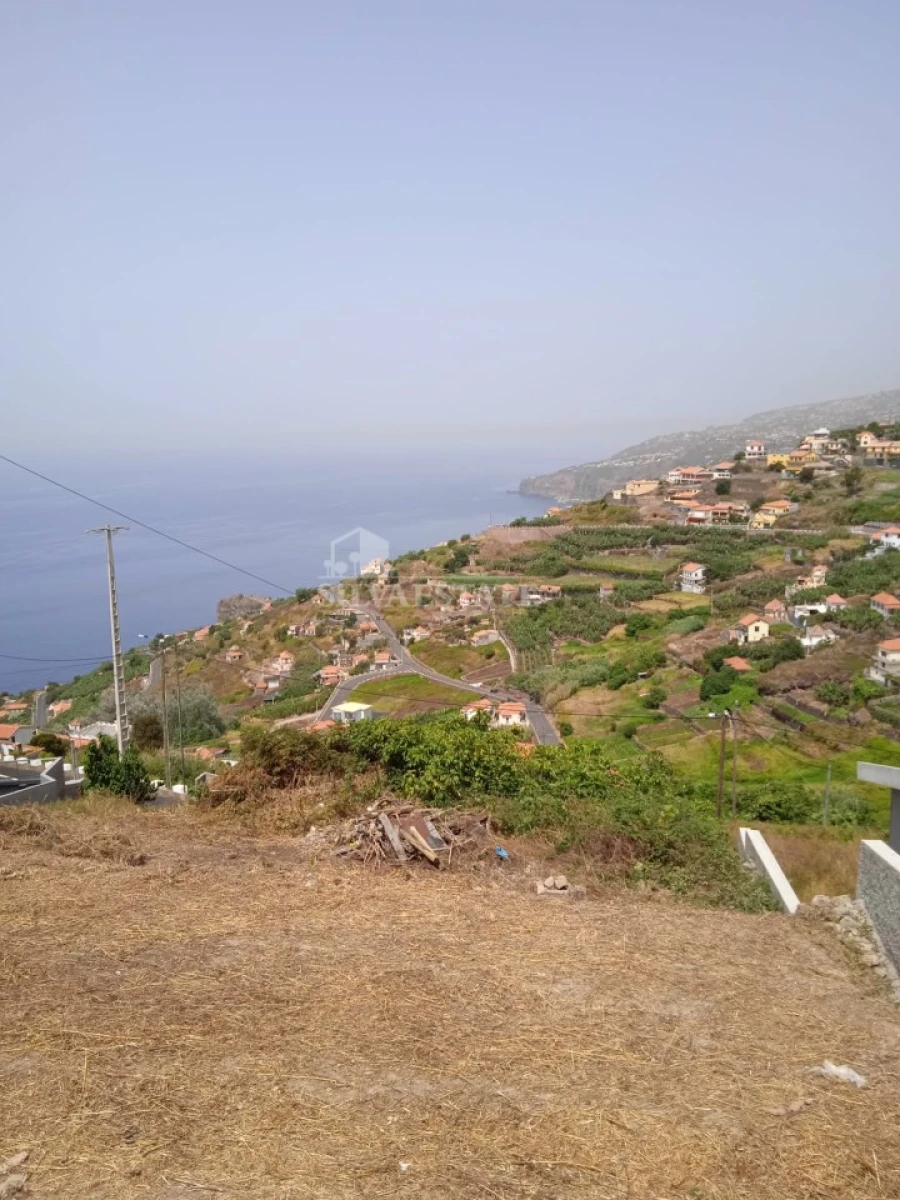 Terreno para Venda em Ribeira Brava Foto 3