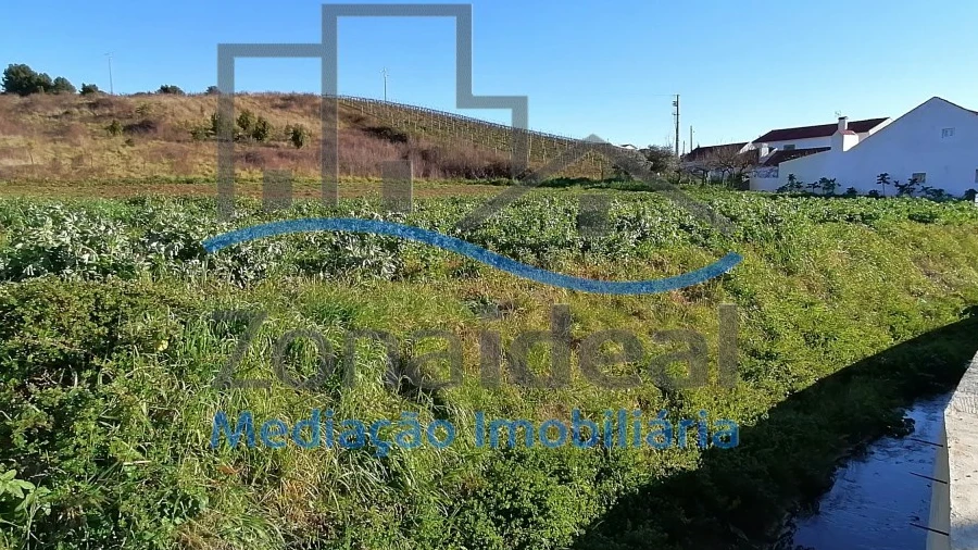 Terreno para Venda em Olhalvo