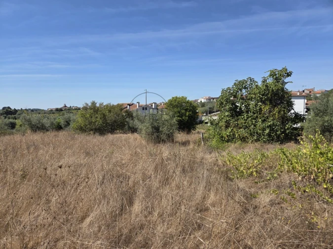 Terreno para Venda em Carvalhal Redondo e Aguieira