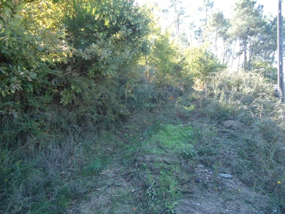 Terreno para Venda em São Cipriano e Vil de Souto Foto 5