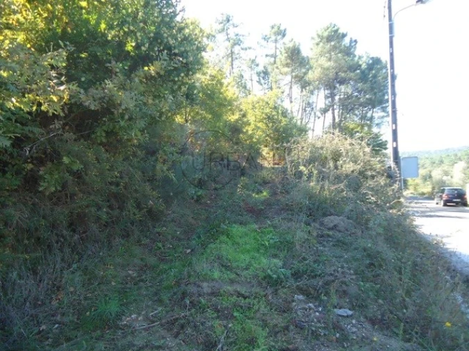 Terreno para Venda em São Cipriano e Vil de Souto Foto 3