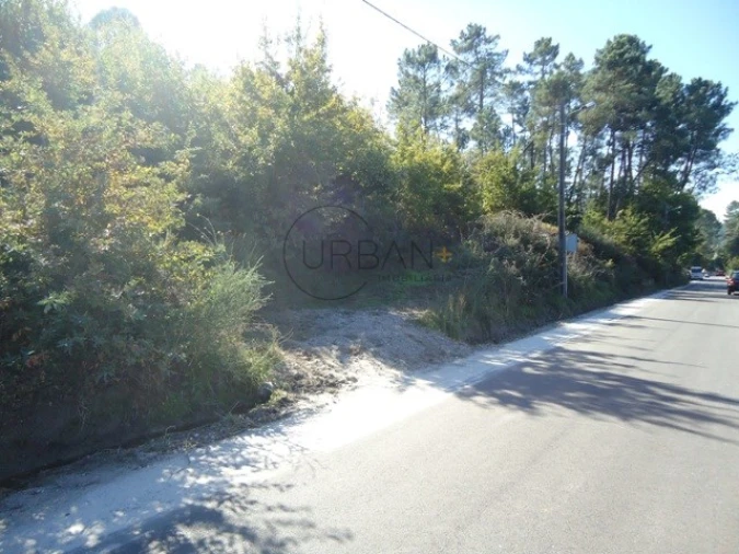 Terreno para Venda em São Cipriano e Vil de Souto Foto 4