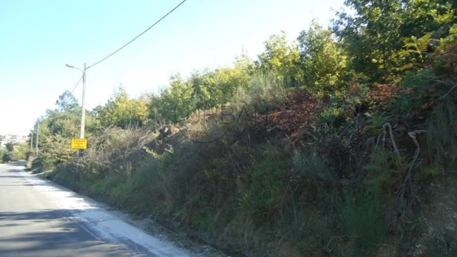 Terreno para Venda em São Cipriano e Vil de Souto