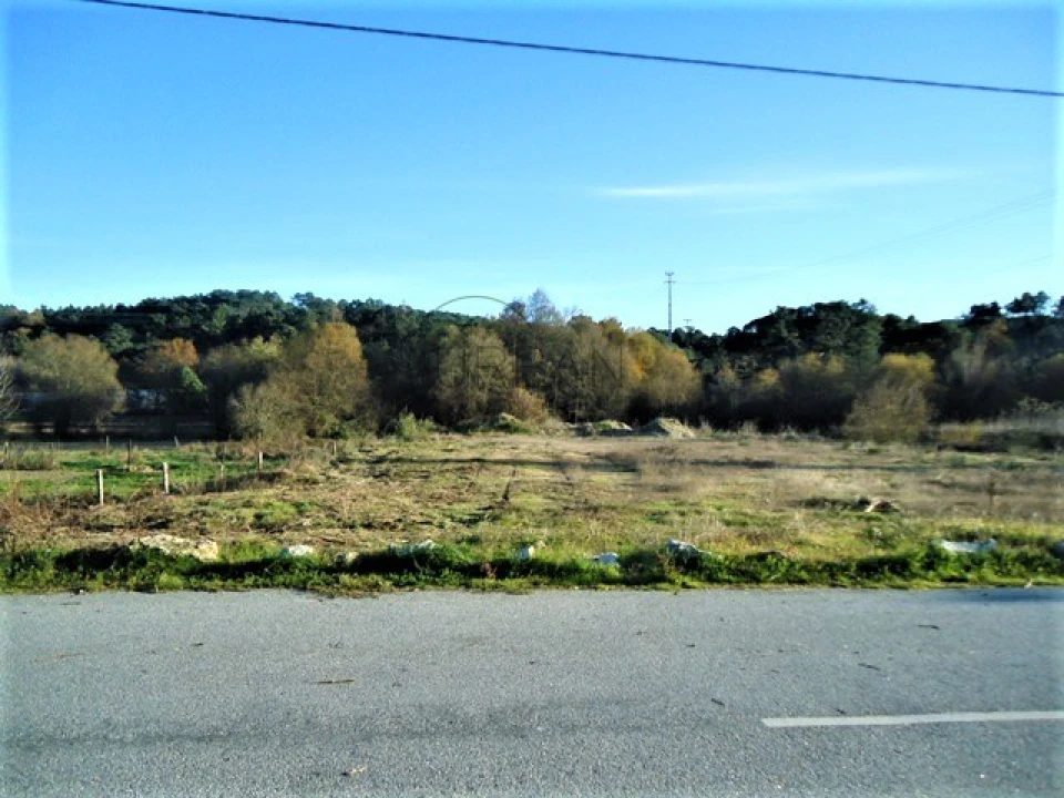 Terreno para Venda em São João de Lourosa Foto 5