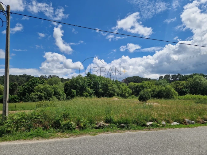 Terreno para Venda em São João de Lourosa Foto 4