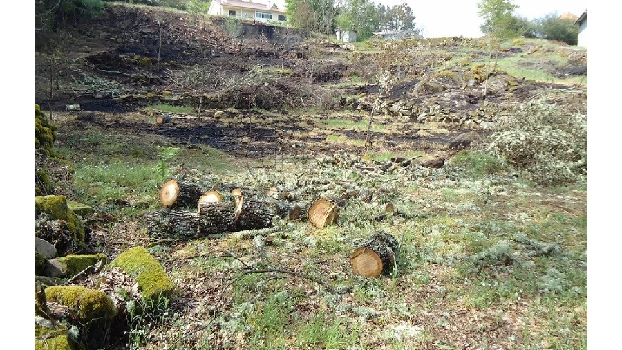 Terreno para Venda em Calde