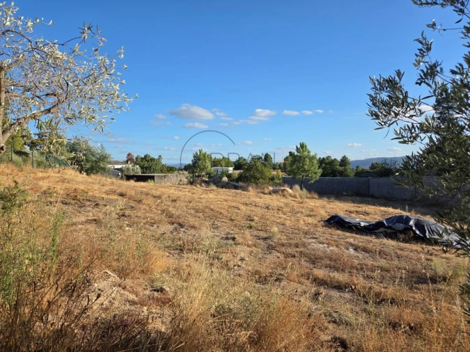 Terreno para Venda em Cabaços Foto 6