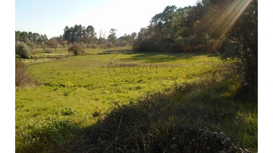 Terreno para Venda em Cavernães