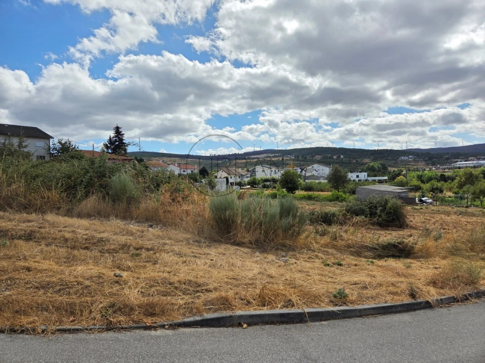 Terreno para Venda em Moimenta da Beira Foto 4