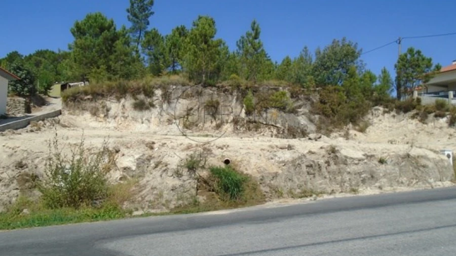 Terreno para Venda em Bodiosa