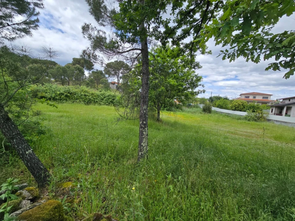 Terreno para Venda em Faíl e Vila Chã de Sá Foto 2