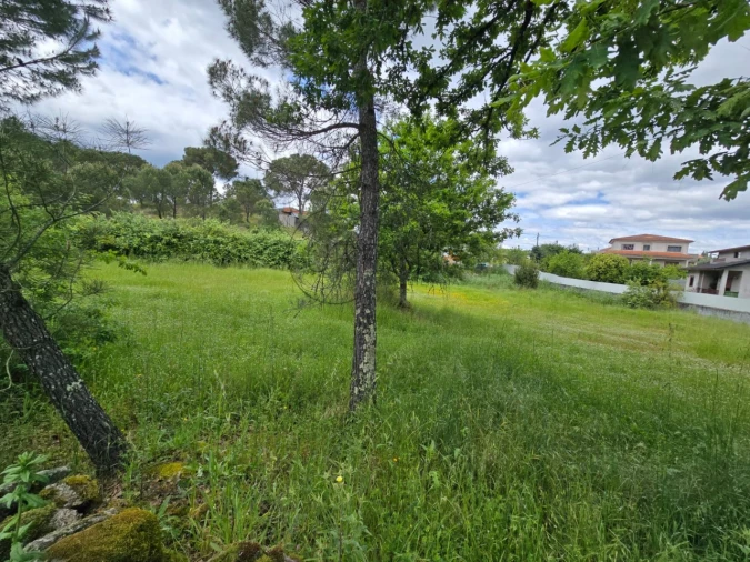 Terreno para Venda em Faíl e Vila Chã de Sá Foto 2