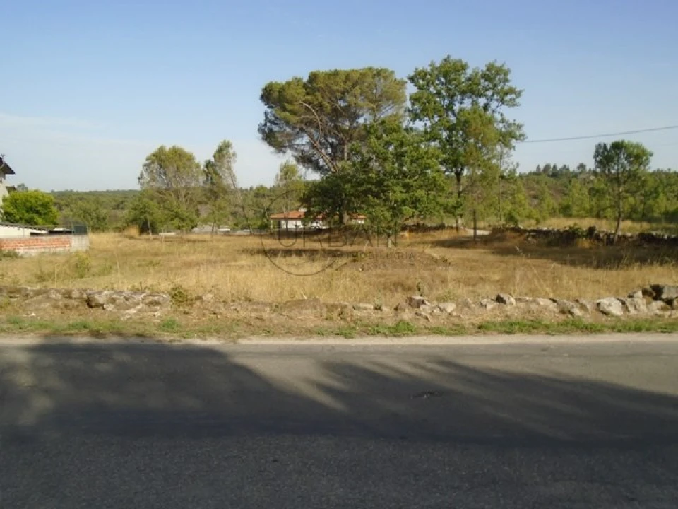 Terreno para Venda em Faíl e Vila Chã de Sá Foto 1