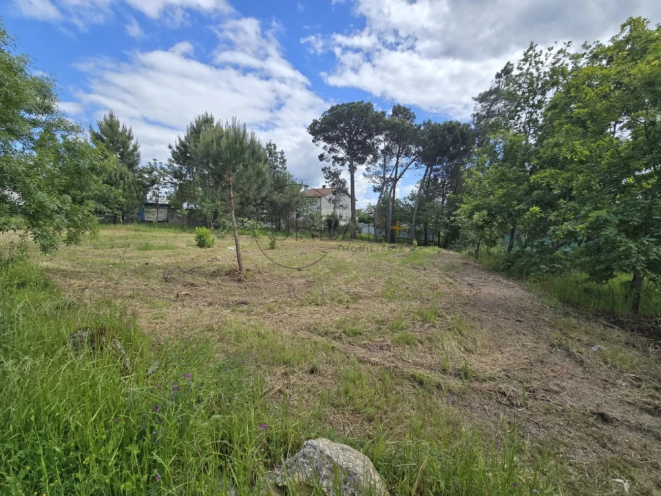 Terreno para Venda em Faíl e Vila Chã de Sá Foto 1