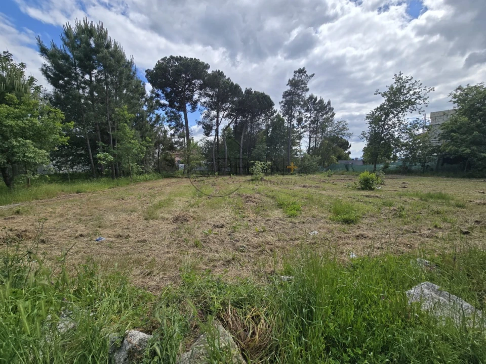 Terreno para Venda em Faíl e Vila Chã de Sá Foto 2