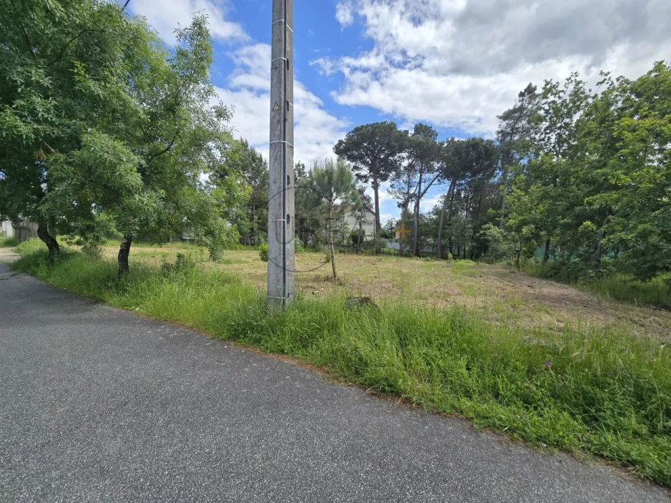 Terreno para Venda em Faíl e Vila Chã de Sá Foto 3