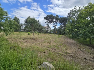 Terreno para Venda em Faíl e Vila Chã de Sá