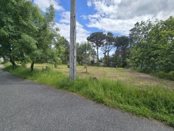 Terreno para Venda em Faíl e Vila Chã de Sá