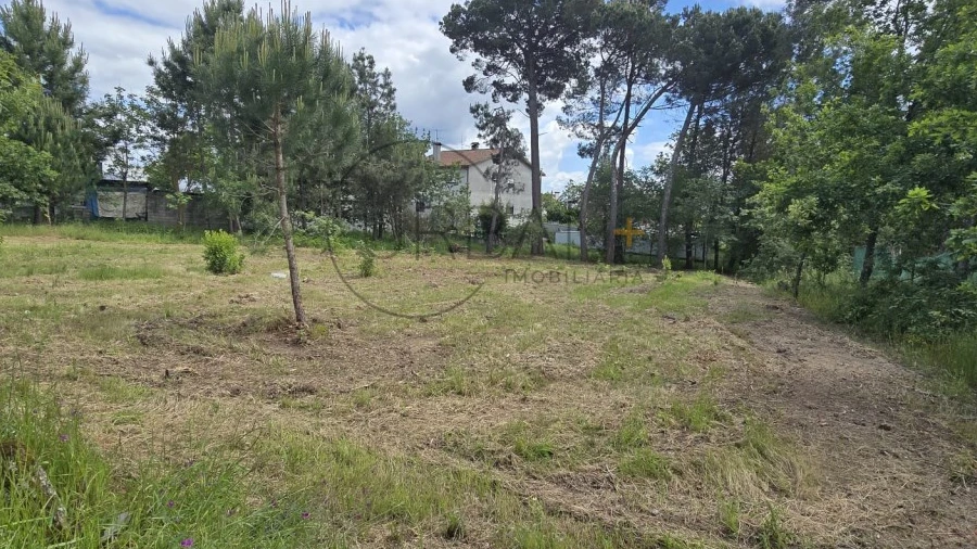 Terreno para Venda em Faíl e Vila Chã de Sá