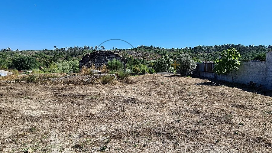 Terreno para Venda em Faíl e Vila Chã de Sá