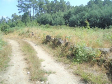 Terreno para Venda em Rio de Loba
