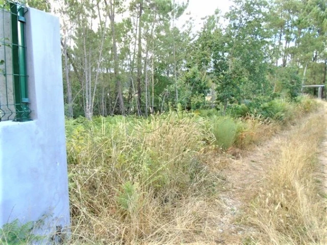 Terreno para Venda em Lordosa Foto 3