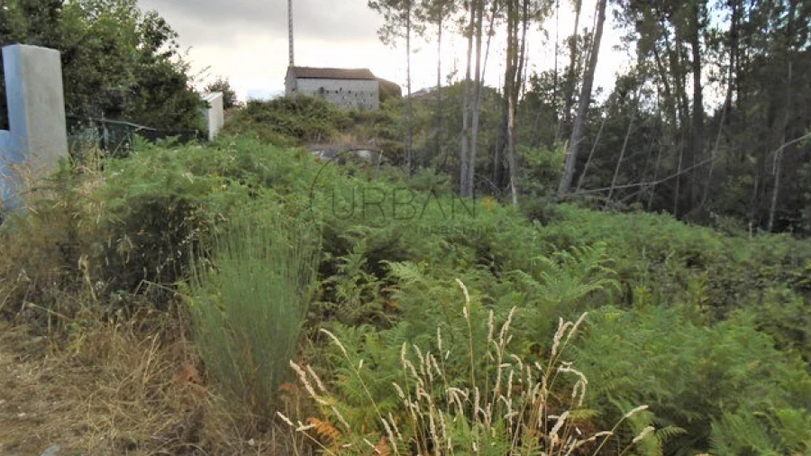 Terreno para Venda em Lordosa